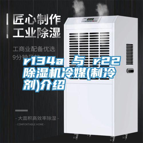 r134a 與 r2291看片网站冷媒(製冷劑)介紹