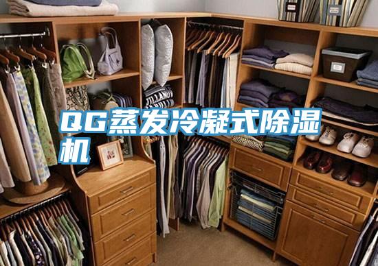QG蒸發冷凝式91看片网站