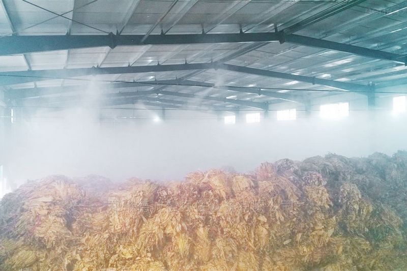提升煙葉加工質量，高效回潮很重要