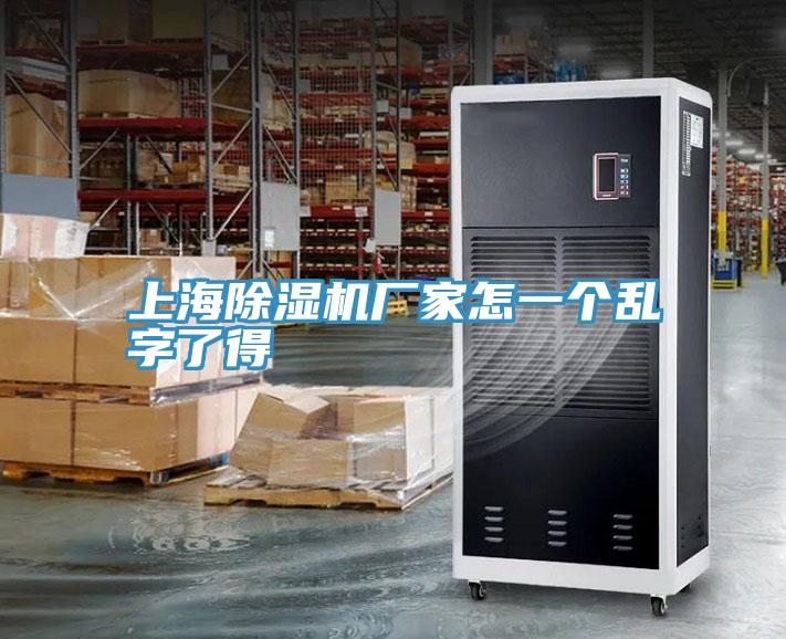 上海91看片网站廠家怎一個亂字了得