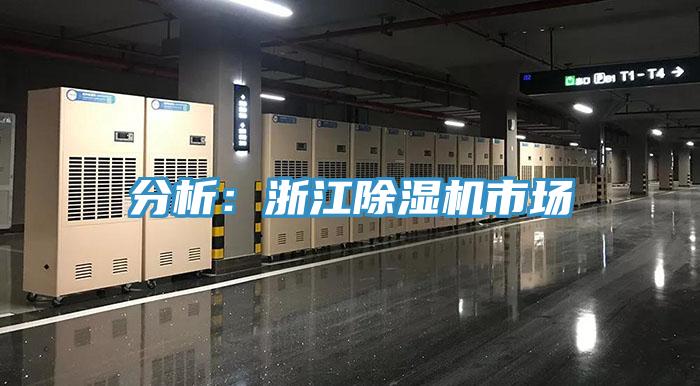 分析：浙江91看片网站市場