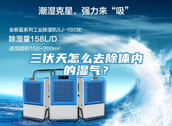 三伏天怎麽去除體內的濕氣？