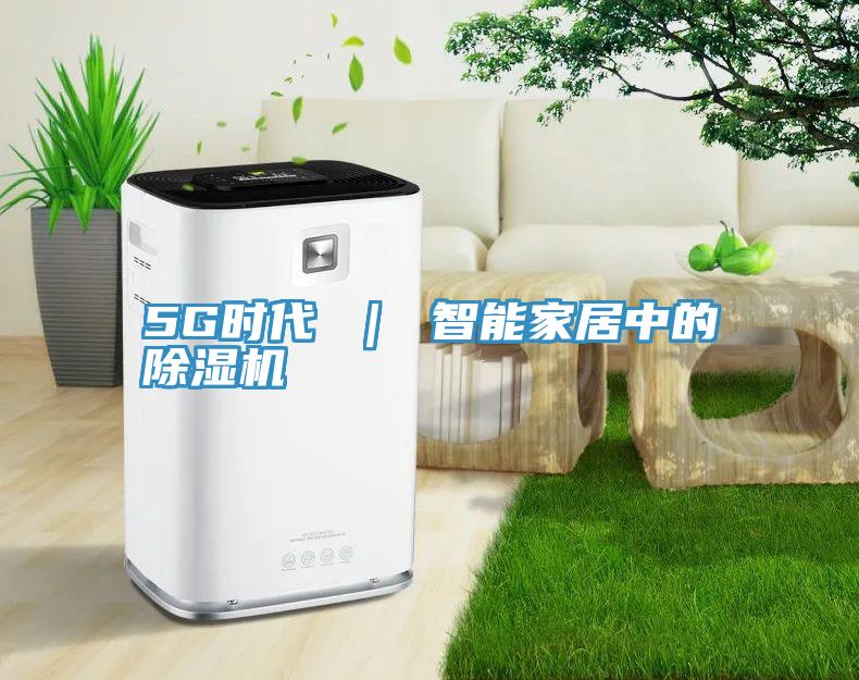 5G時代 ｜ 智能家居中的91看片网站