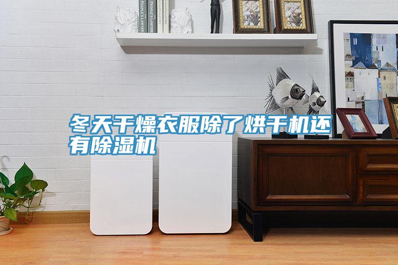 冬天幹燥衣服除了烘幹機還有91看片网站