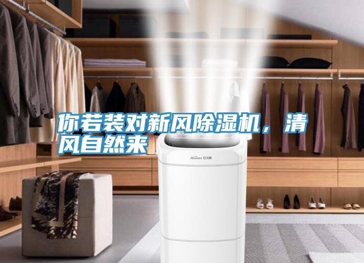 你若裝對新風91看片网站，清風自然來