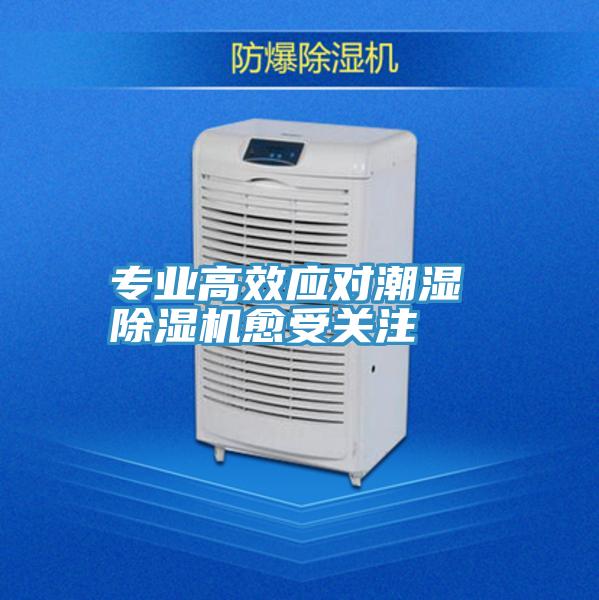 專業高效應對潮濕 91看片网站愈受關注