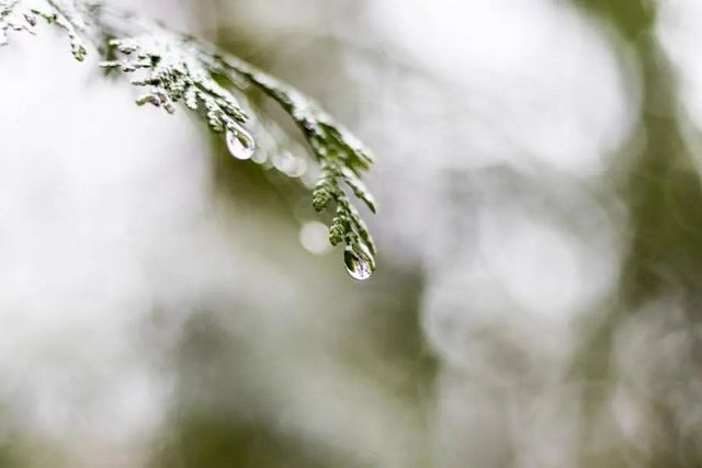 空氣濕度大帶來的危害有哪些，你知道嗎？