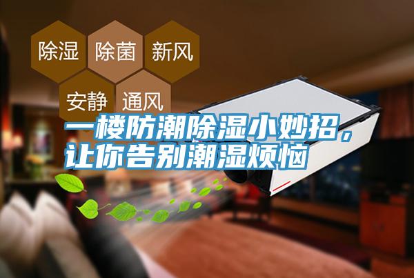 一樓防潮除濕小妙招，讓你告別潮濕煩惱