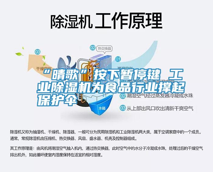 “晴歌”按下暫停鍵 工業91看片网站為食品行業撐起保護傘
