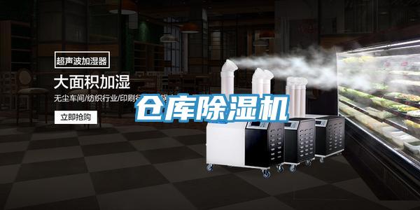 倉庫91看片网站