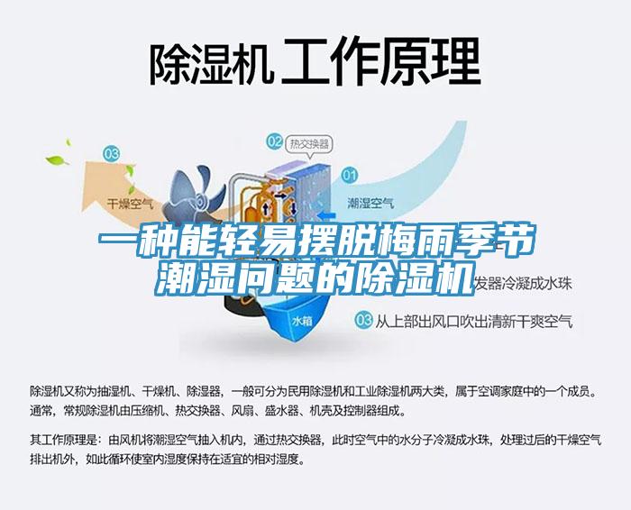 一種能輕易擺脫梅雨季節潮濕問題的91看片网站