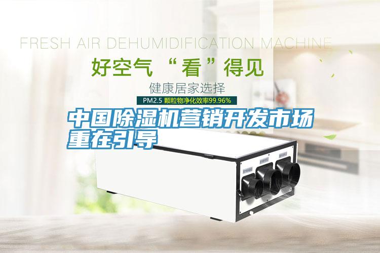中國91看片网站營銷開發市場重在引導