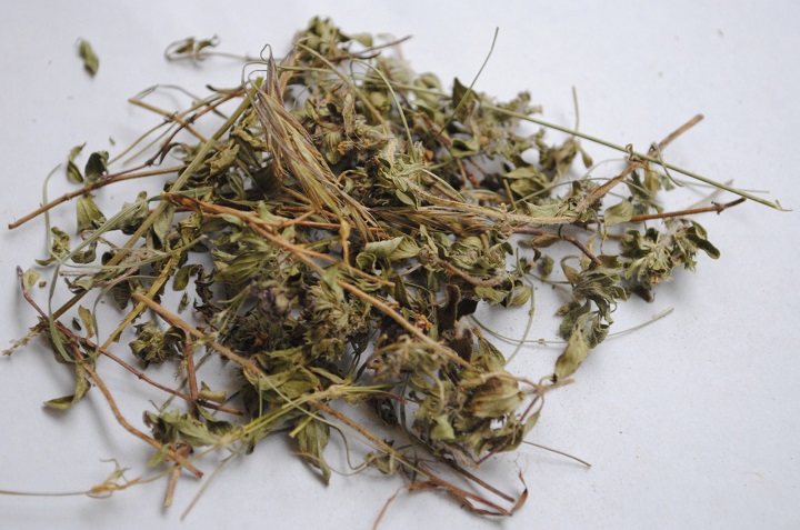 91看片免费下载烘幹機