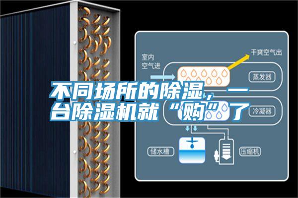 不同場所的除濕，一台91看片网站就“購”了