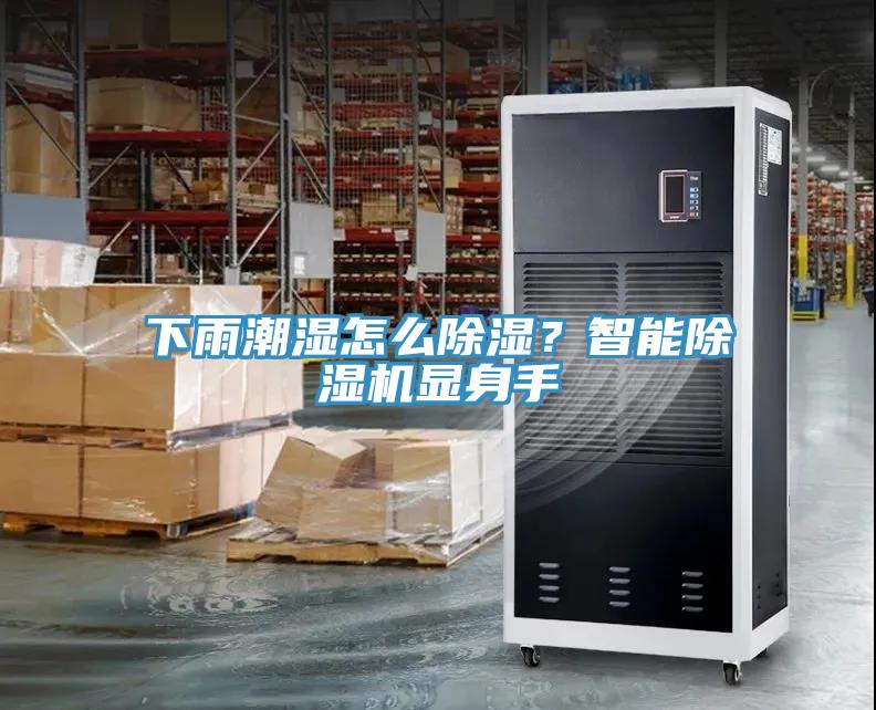 下雨潮濕怎麽除濕？智能91看片网站顯身手