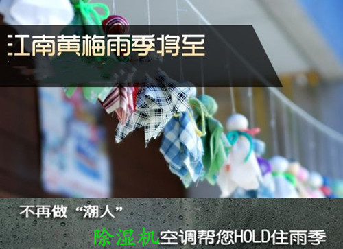 防潮91看片网站