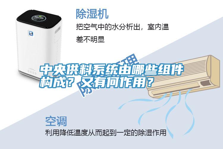 中央供料係統由哪些組件構成？又有何作用？