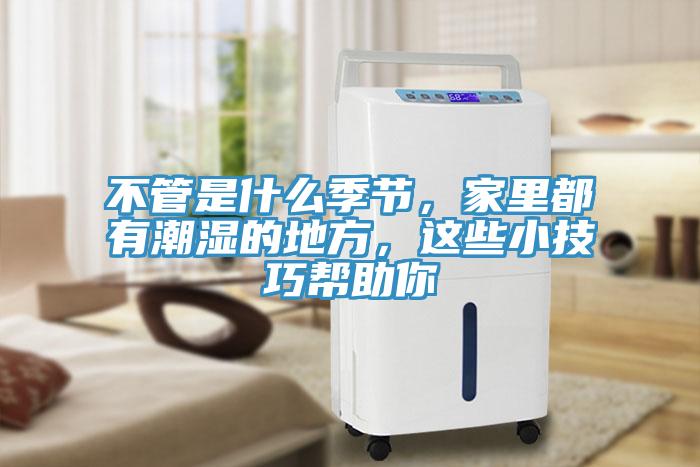 不管是什麽季節，家裏都有潮濕的地方，這些小技巧幫助你