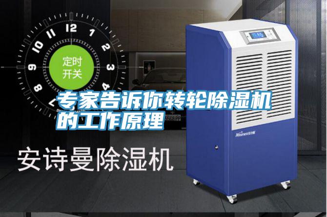 專家告訴你轉輪91看片网站的工作原理