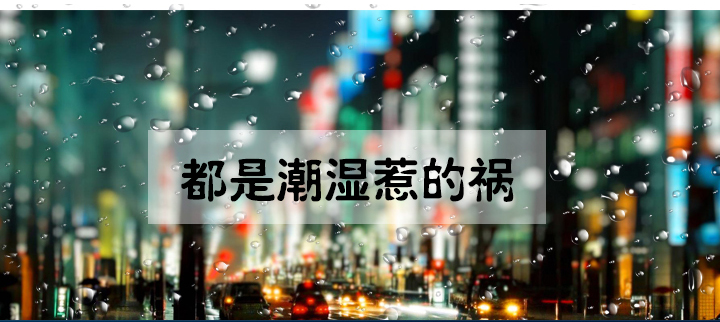 防潮91看片网站