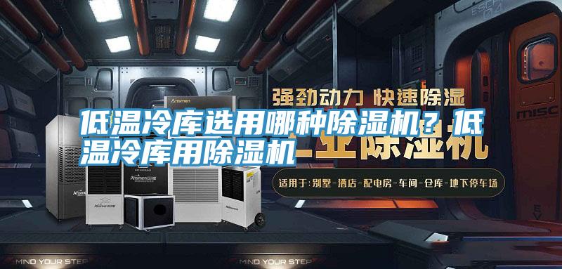 低溫冷庫選用哪種91看片网站？低溫冷庫用91看片网站