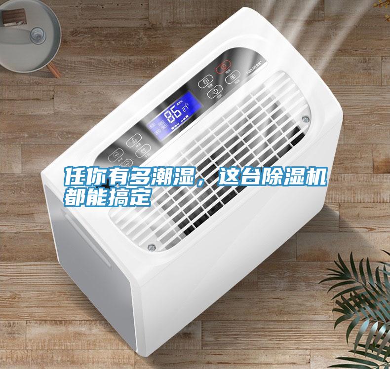 任你有多潮濕，這台91看片网站都能搞定