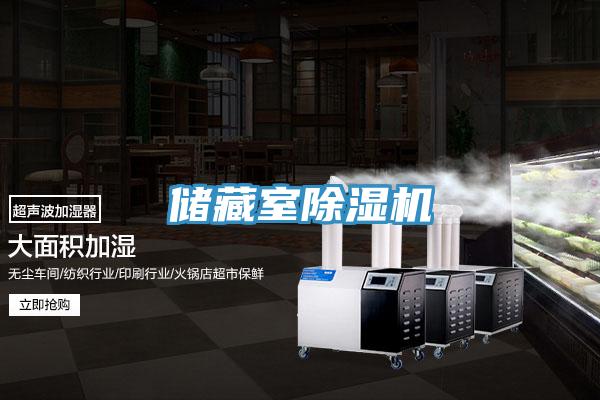 儲藏室91看片网站