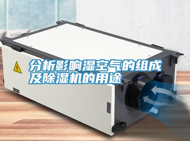 分析影響濕空氣的組成及91看片网站的用途