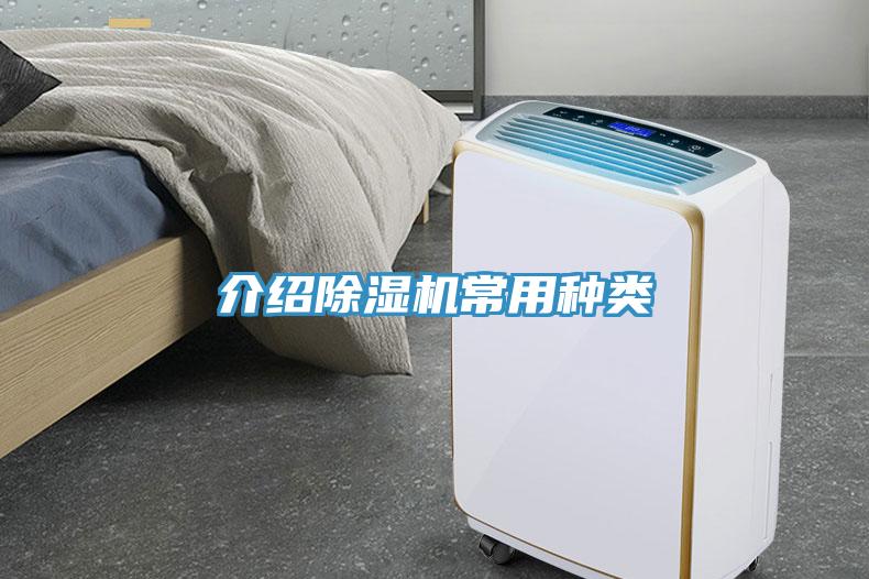介紹91看片网站常用種類