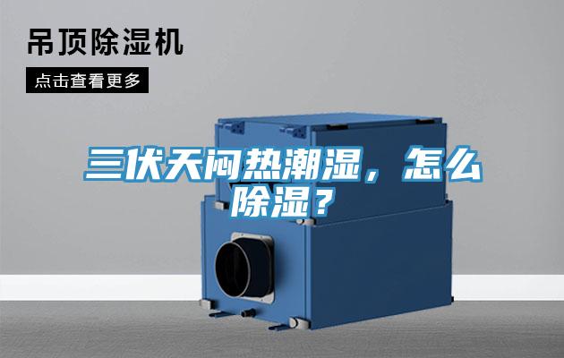 三伏天悶熱潮濕，怎麽除濕？