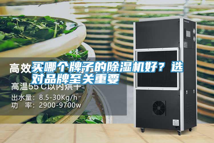 買哪個牌子的91看片网站好？選對品牌至關重要