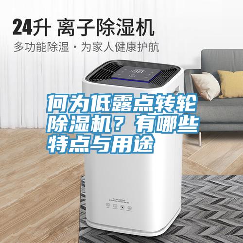 何為低露點轉輪91看片网站？有哪些特點與用途