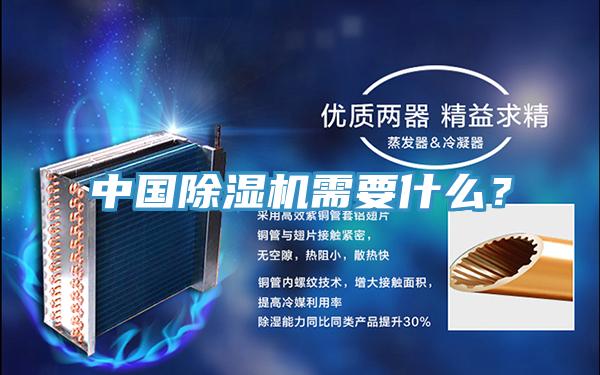 中國91看片网站需要什麽？