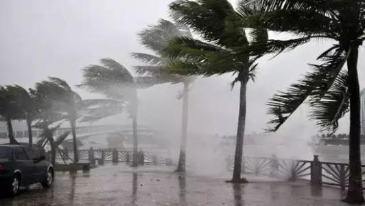 8月台風雨即將來，91看片网站還得用起來