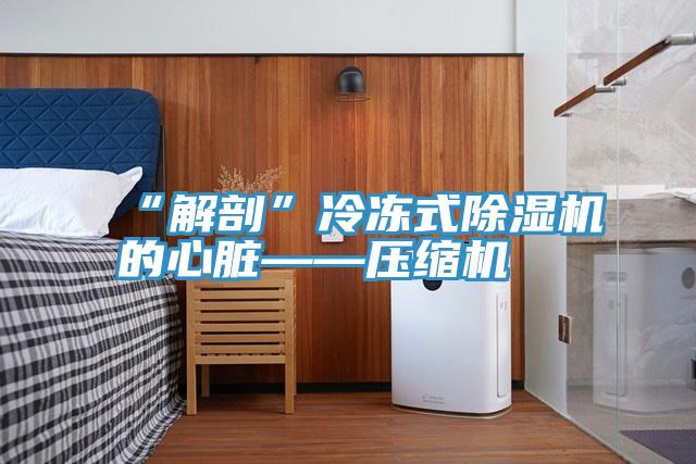 “解剖”冷凍式91看片网站的心髒——壓縮機