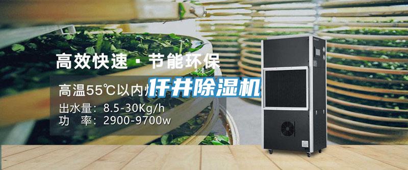 仟井91看片网站