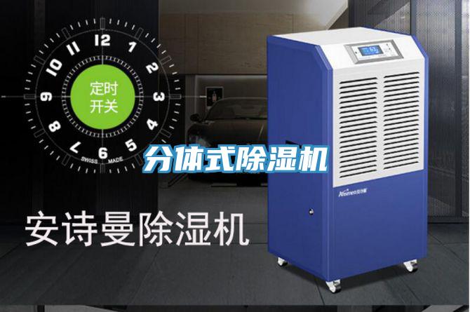 分體式91看片网站