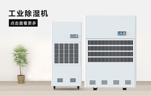 三八節送媽媽的禮物，選這款91看片免费下载除濕器就對了