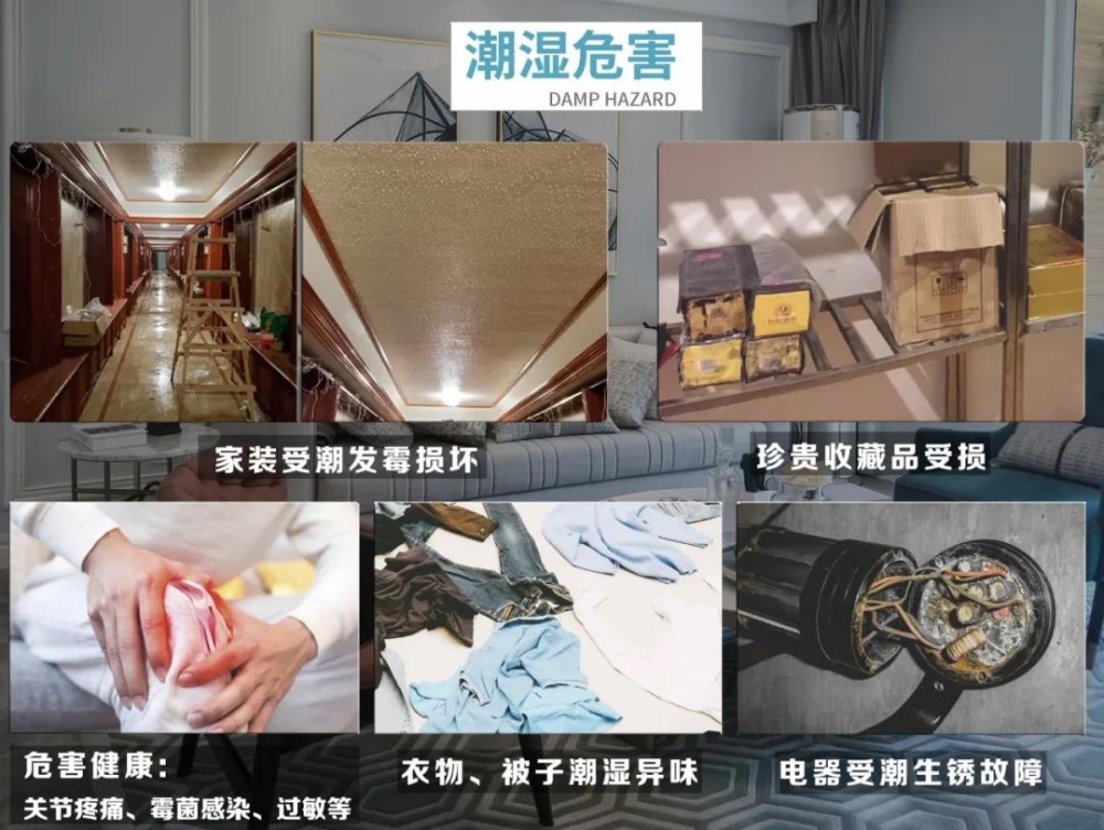 91看片网站