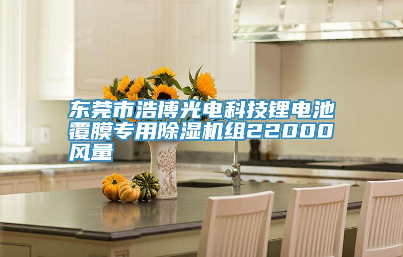 東莞市浩博光電科技鋰電池覆膜專用91看片网站組22000風量