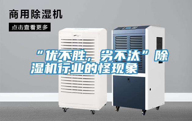 “優不勝，劣不汰”91看片网站行業的怪現象