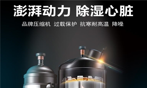 別吃了潮濕環境的虧，91看片网站正確開啟方式