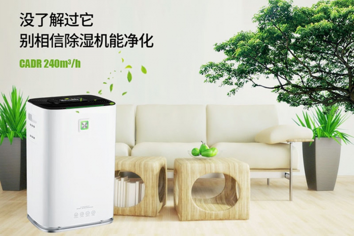 一到回南天狗狗就感冒+皮膚病，怎麽辦？