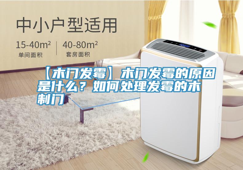 【木門發黴】木門發黴的原因是什麽？如何處理發黴的木製門