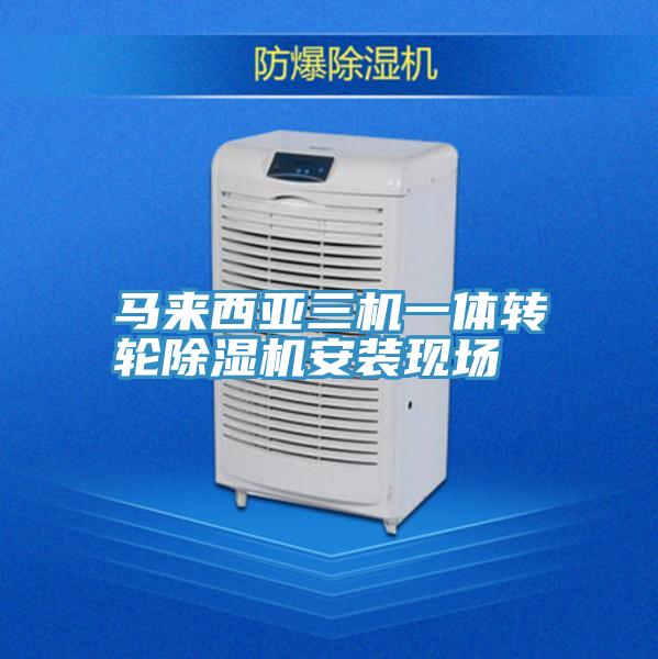 馬來西亞三機一體轉輪91看片网站安裝現場