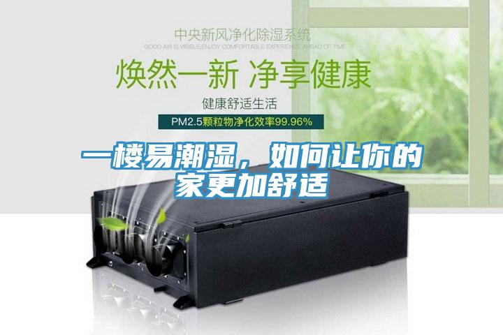 一樓易潮濕，如何讓你的家更加舒適