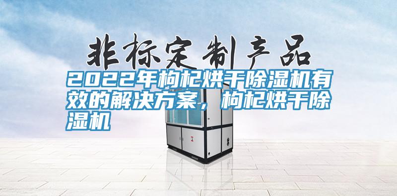 2022年枸杞烘幹91看片网站有效的解決方案，枸杞烘幹91看片网站