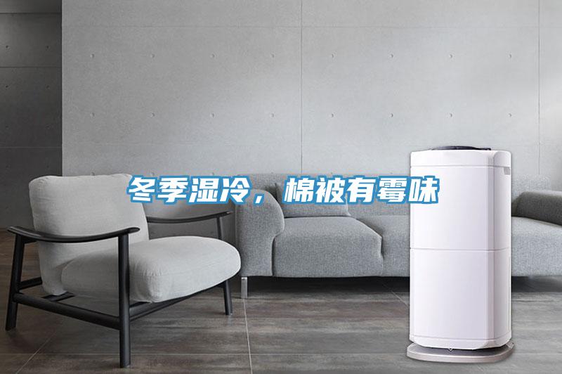 冬季濕冷，棉被有黴味