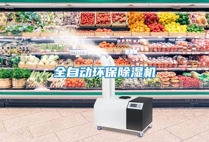 全自動環保91看片网站