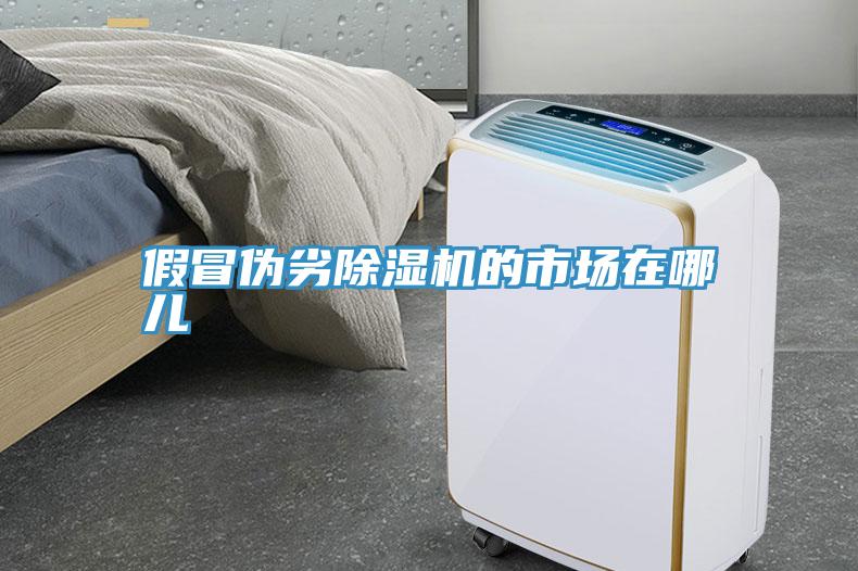 假冒偽劣91看片网站的市場在哪兒